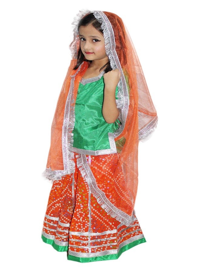 كاكو فانسي دريسيس طقم ليهنغا للرقص على أنغام غاربا نافراتري من كاكو فانسي دريسز | طقم رادها ليهنغا تشولي دوباتا للبنات - برتقالي وأخضر، للبنات - Image 3